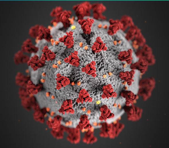 coronavirus